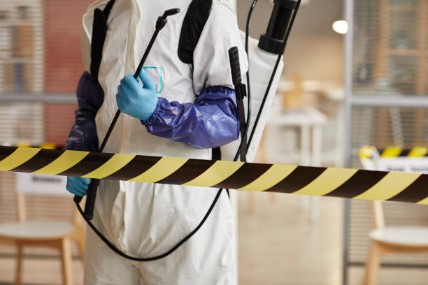 Professional Sewage Cleanup technician working in Rochester, WI